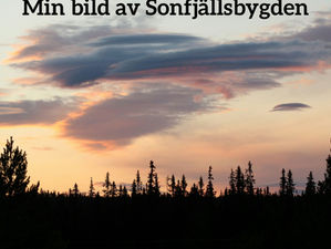 Skicka in till månadens bild idag!