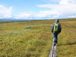 Vandringens dag i helgen!