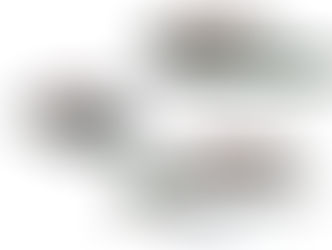 INFORMATIONSTRÄFFAR- HEDE HEMBYGDSGÅRD