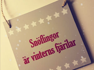 Snöflingor är vinterns fjärilar..