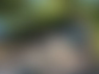 Korpens sommarutmaning