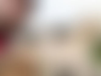 Jag väljer Sonfjällsbygden: fantastiska vidder och bra intryck av byn