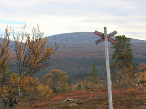 Trots pandemin - fler anställda i Härjedalen