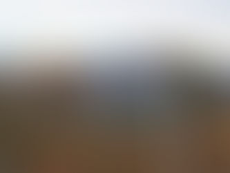 Trots pandemin - fler anställda i Härjedalen