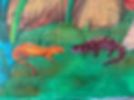 Newt and Salamander