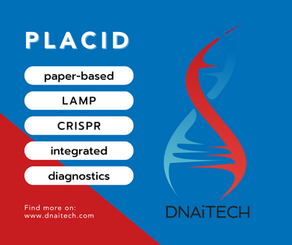 PLACID: paper-based LAMP-CRISPR Integrated diagnostics