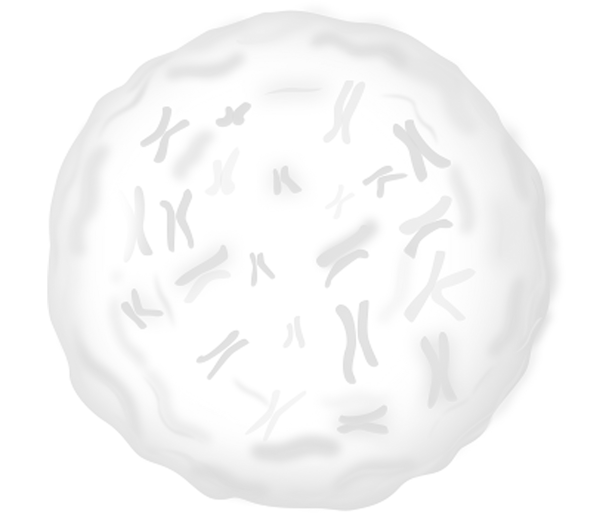 S-TECH_Cell_transparent_edited.png