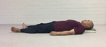 Charlie lying down - just right.jpg