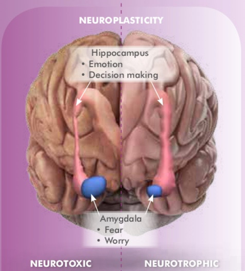 It's important to take an holistic approach to chronic pain treatment, if not you cannot get to the cause of your pain. Emotions and our past experiences in life need to be recognised as the cause of your pain and why the pain doesn't heal.