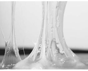 Jenis-Jenis Perekat dan Kegunaannya