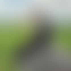 ✨ Barsel i sigte ✨