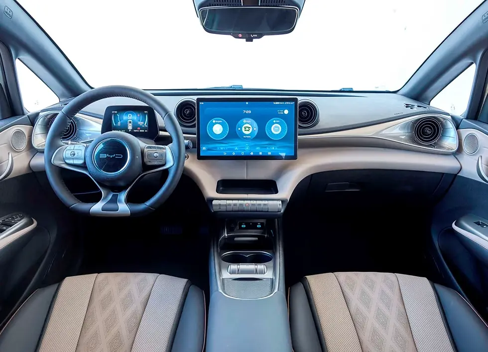 בי ווי די, BYD DOLPHIN