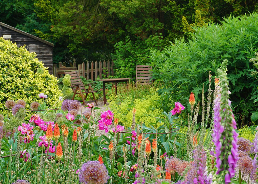 Beginnen Sie Ihren Naturgarten mit einer kleinen wilden Ecke