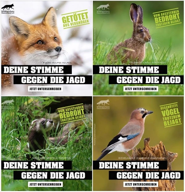petition-hobbyjagd.webp