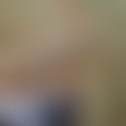 Das Eichhörnchen im Winter – Überleben zwischen Frost, Futterknappheit und menschlichen Gefahren