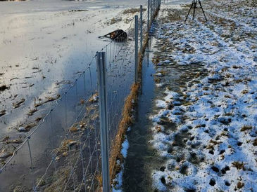 Rechtsweg zum Abbau der ASP-Zäune im Nationalpark eingeleitet