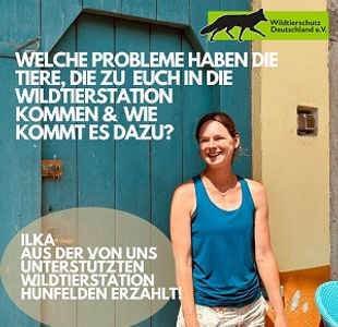 Wildtierstation Hünfelden Aufnahme von Wildtieren in Hessen