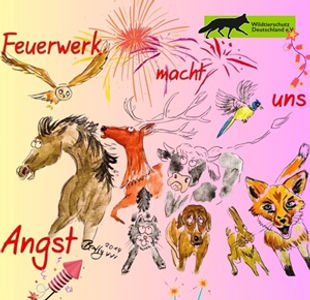 #böllerciao Verbot von Böllern und Raketen an Silvester