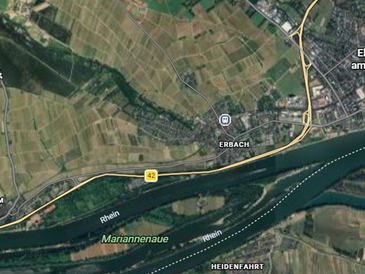 Todesfalle für Wildtiere: ASP-Wildzaun im Rheingau-Taunus-Kreis (Hessen) – Abbau ab April möglich