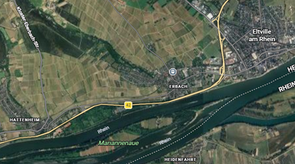 Todesfalle für Wildtiere: ASP-Wildzaun im Rheingau-Taunus-Kreis (Hessen) – Abbau ab April möglich