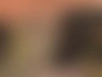 Jagd im FHH- und Vogelschutzgebiet Unterems