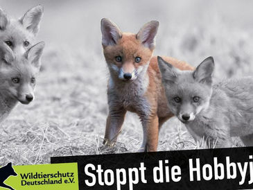 Was versteht man eigentlich unter „Hobbyjagd“?