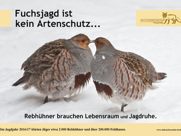 Fuchsjagd ist kein Artenschutz