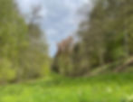 Wiese lang3.JPG