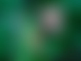 Dürfen Wolfswelpen ohne vernünftigen Grund gejagt werden