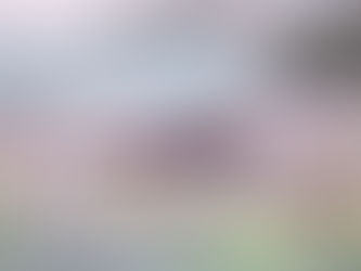 Warum Wildtierschutz Deutschland sich für Füchse einsetzt