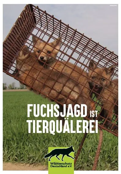 Tierquälerei.webp