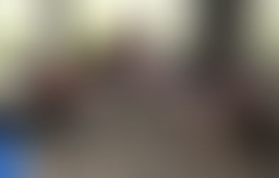 Protest: In NRW sollen wieder Vögel für die Jagd ausgesetzt werden