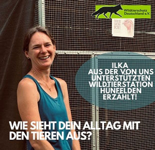 Wildtierstation Hünfelden