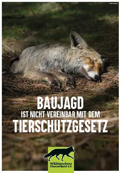 Baujagd ist rechtswidrig