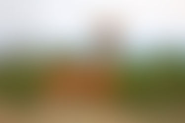 Mecklenburg-Vorpommern: Mehr Treibjagden, kürzere Schonzeiten