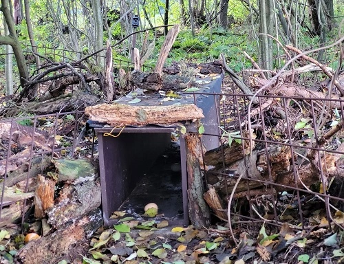 Kastenfalle mit Hühnereiern als Köder im Kreis Borken (NRW)