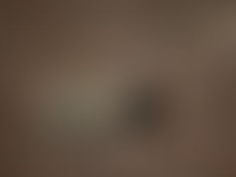 Die Knoblauchkröte - Umweltgifte machen ihr das Leben schwer