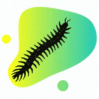 pin millipede.gif