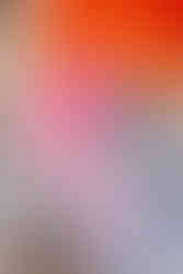 referência de decoração para vitrine de Natal