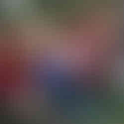 Decoração com chuva de flores gigantes para vitrine