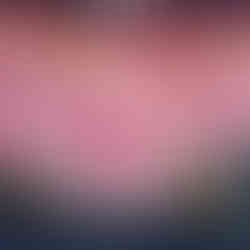 Lindas flores gigantes em vitrines de loja de departamento