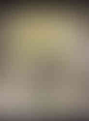 Vitrine com lindas flores de papel branco e verde para grife de aromas