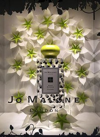 Vitrine com lindas flores de papel branco e verde para grife de aromas