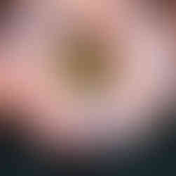 Flor gigante maravilhosa em EVA para vitrine de loja