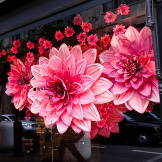Flores gigantes pink para vitrine