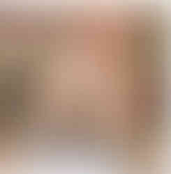 Flores gigantes cor de rosa para vitrine de moda