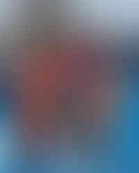 Linda vitrine com muitas flores flores gigantes para marca de moda e decoração