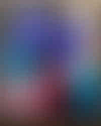 Vitrine incrível com lindas flores exóticas e coloridas para marca de luxo