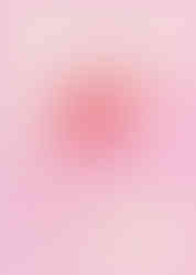 inspiração cor para vitrine de Natal