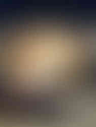 Flores gigantes de papel para vitrine para perfume de luxo